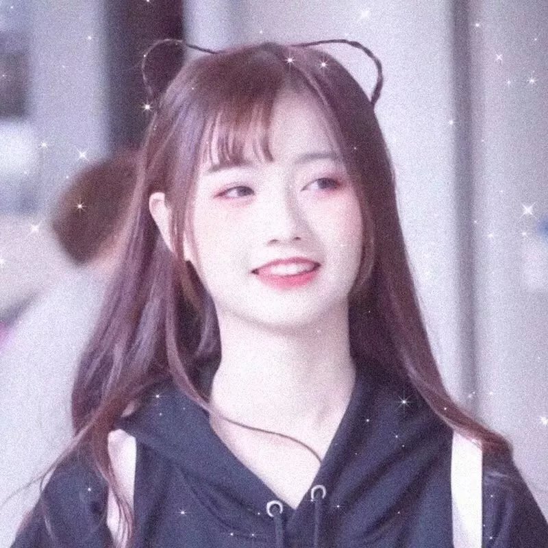 小狮王守护队:狮王再起