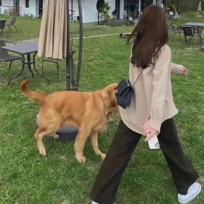 机器肉鸡第三季